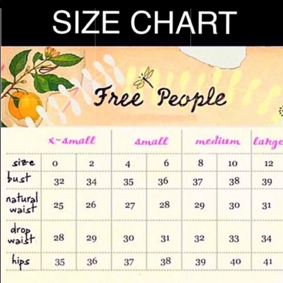 BRAND NEW FREE PEOPLE Mesh High Waist Panty Sheer Ruched Overlay Baby Pink Sm - Picture 6 of 7